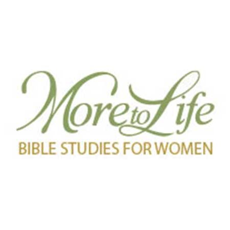 more to life bible studies upci